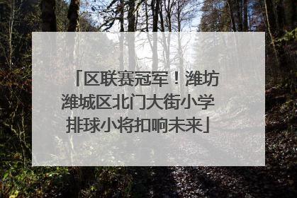区联赛冠军！潍坊潍城区北门大街小学排球小将扣响未来