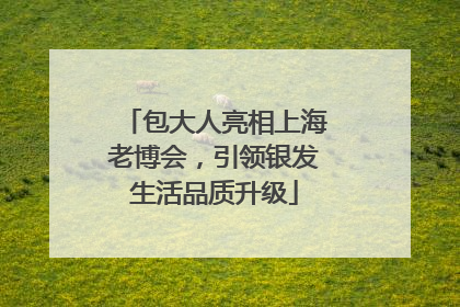 包大人亮相上海老博会，引领银发生活品质升级
