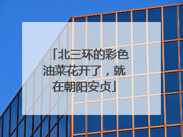 北三环的彩色油菜花开了，就在朝阳安贞