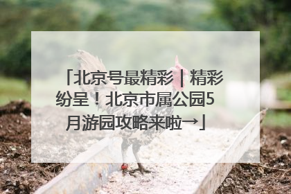 北京号最精彩｜精彩纷呈！北京市属公园5月游园攻略来啦→
