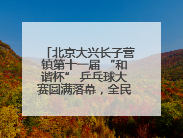 北京大兴长子营镇第十一届 “和谐杯” 乒乓球大赛圆满落幕，全民运动热潮涌动