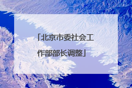北京市委社会工作部部长调整