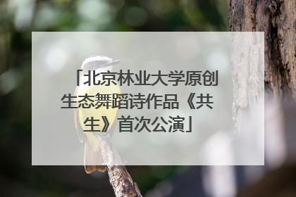 北京林业大学原创生态舞蹈诗作品《共生》首次公演