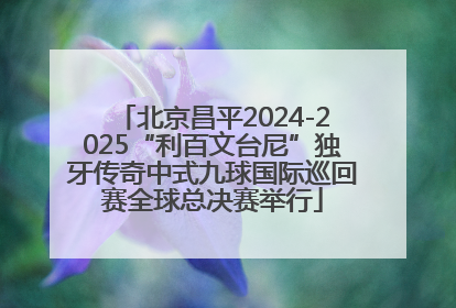 北京昌平2024-2025“利百文台尼”独牙传奇中式九球国际巡回赛全球总决赛举行
