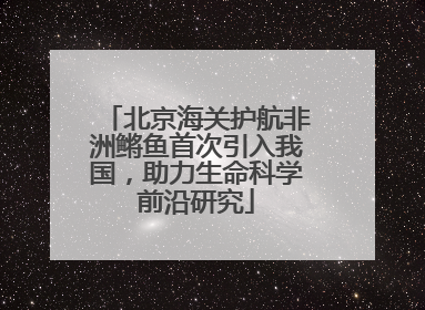 北京海关护航非洲鳉鱼首次引入我国，助力生命科学前沿研究