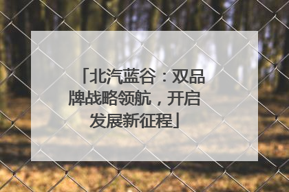 北汽蓝谷：双品牌战略领航，开启发展新征程