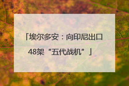 埃尔多安：向印尼出口48架“五代战机”
