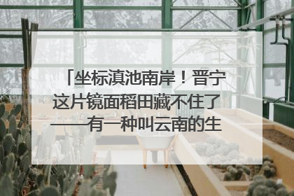 坐标滇池南岸！晋宁这片镜面稻田藏不住了——有一种叫云南的生活之365天