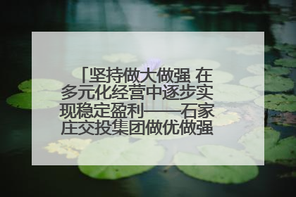 坚持做大做强 在多元化经营中逐步实现稳定盈利——石家庄交投集团做优做强典型报道之三