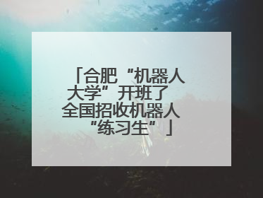 合肥“机器人大学”开班了 全国招收机器人“练习生”