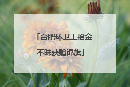合肥环卫工拾金不昧获赠锦旗