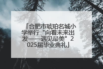 合肥市琥珀名城小学举行“向着未来出发——遇见最美”2025届毕业典礼