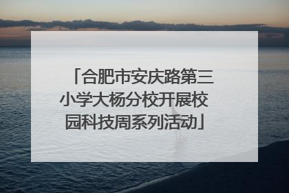 合肥市安庆路第三小学大杨分校开展校园科技周系列活动