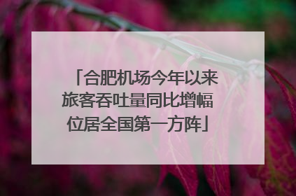 合肥机场今年以来旅客吞吐量同比增幅位居全国第一方阵