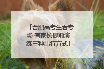 合肥高考生看考场 有家长提前演练三种出行方式