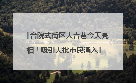 合院式街区大吉巷今天亮相！吸引大批市民涌入