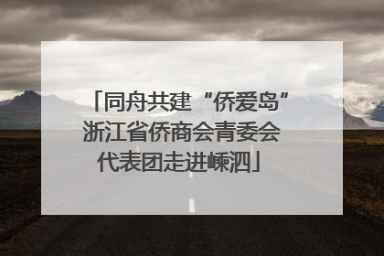 同舟共建“侨爱岛” 浙江省侨商会青委会代表团走进嵊泗