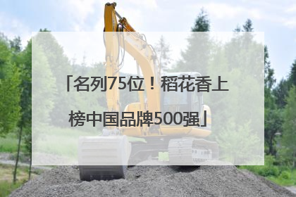 名列75位！稻花香上榜中国品牌500强