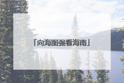 向海图强看海南