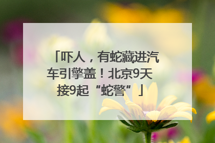 吓人，有蛇藏进汽车引擎盖！北京9天接9起“蛇警”