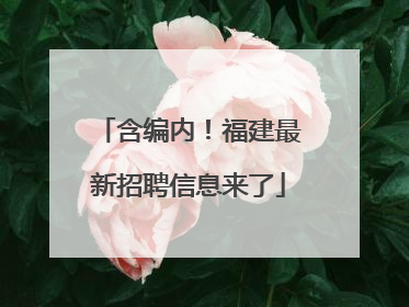 含编内！福建最新招聘信息来了