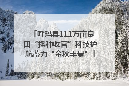 呼玛县111万亩良田“播种收官”科技护航蓄力“金秋丰景”