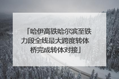 哈伊高铁哈尔滨至铁力段全线最大跨度转体桥完成转体对接