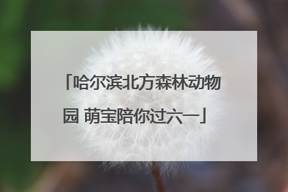 哈尔滨北方森林动物园 萌宝陪你过六一