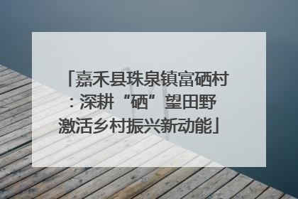 嘉禾县珠泉镇富硒村：深耕“硒”望田野 激活乡村振兴新动能