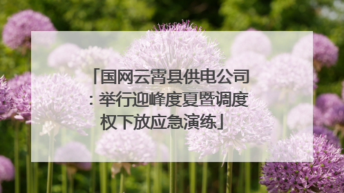 国网云霄县供电公司：举行迎峰度夏暨调度权下放应急演练