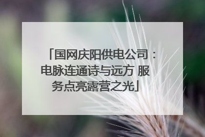 国网庆阳供电公司：电脉连通诗与远方 服务点亮露营之光