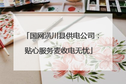 国网潢川县供电公司：贴心服务麦收电无忧