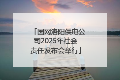 国网洛阳供电公司2025年社会责任发布会举行