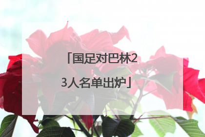 国足对巴林23人名单出炉
