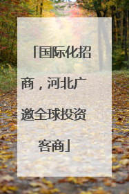 国际化招商，河北广邀全球投资客商
