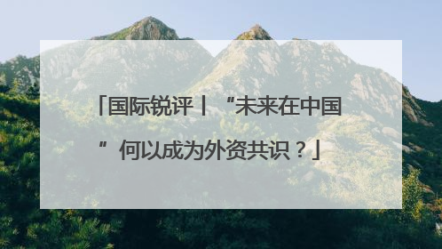 国际锐评丨“未来在中国”何以成为外资共识？