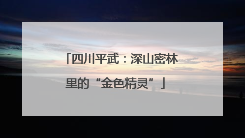 四川平武：深山密林里的“金色精灵”