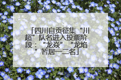 四川自贡征集“川超”队名进入投票阶段：“龙焱”“龙焰”暂居一二名