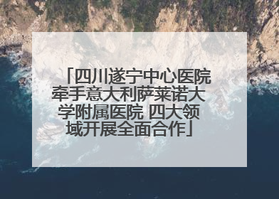 四川遂宁中心医院牵手意大利萨莱诺大学附属医院 四大领域开展全面合作