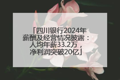 四川银行2024年薪酬及经营情况披露：人均年薪33.2万，净利润突破20亿