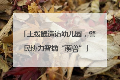 土拨鼠造访幼儿园，警民协力智擒“萌兽”