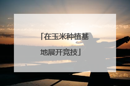在玉米种植基地展开竞技
