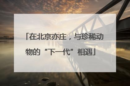 在北京亦庄，与珍稀动物的“下一代”相遇