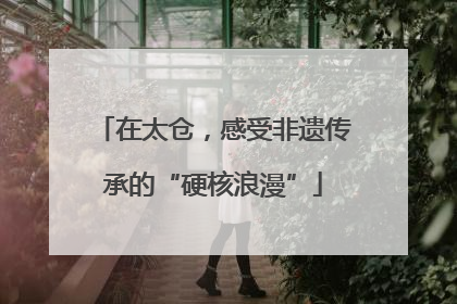 在太仓，感受非遗传承的“硬核浪漫”