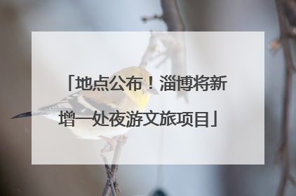 地点公布！淄博将新增一处夜游文旅项目