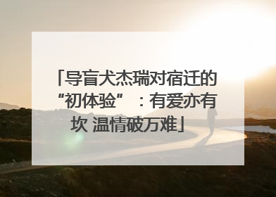 导盲犬杰瑞对宿迁的“初体验”：有爱亦有坎 温情破万难