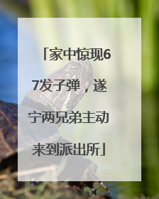 家中惊现67发子弹，遂宁两兄弟主动来到派出所