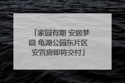 家园有期 安居梦圆 龟湖公园东片区安置房即将交付
