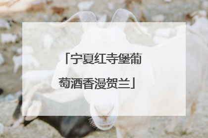 宁夏红寺堡葡萄酒香漫贺兰