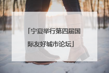 宁夏举行第四届国际友好城市论坛